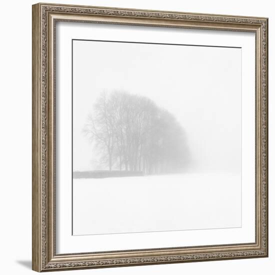 Snowy Trees-Doug Chinnery-Framed Photographic Print