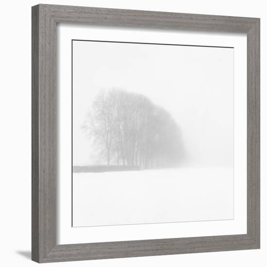 Snowy Trees-Doug Chinnery-Framed Photographic Print