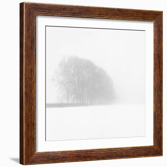 Snowy Trees-Doug Chinnery-Framed Photographic Print