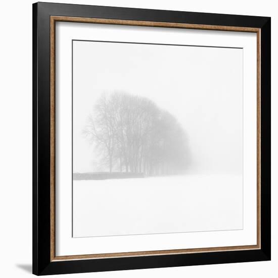 Snowy Trees-Doug Chinnery-Framed Photographic Print