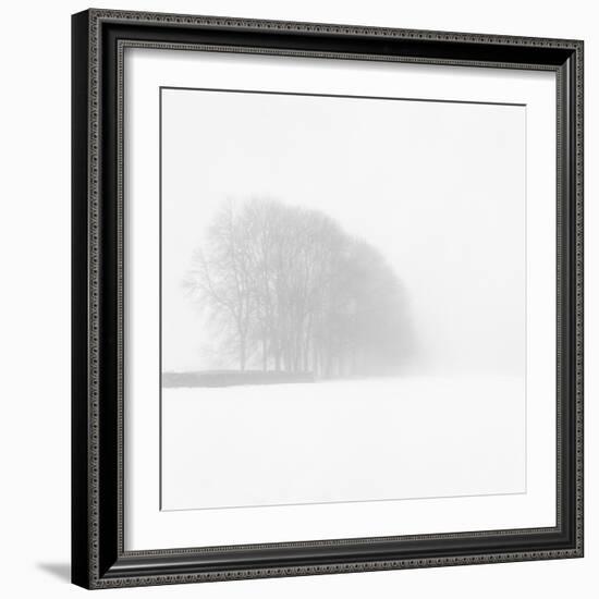 Snowy Trees-Doug Chinnery-Framed Photographic Print