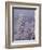 Snowy Trees-Bill Ross-Framed Photographic Print