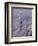 Snowy Trees-Bill Ross-Framed Photographic Print