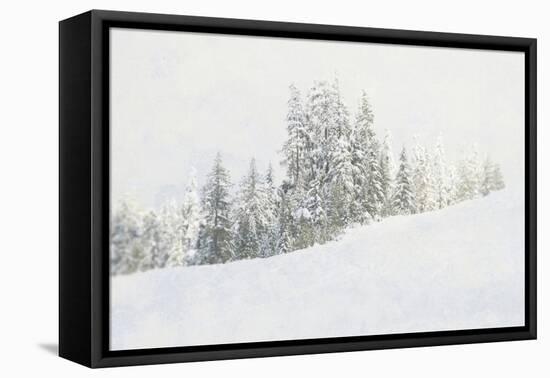 Snowy White Forest-null-Framed Premier Image Canvas