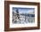 Snowy Woods and Mountain Huts Framed by the Winter Sunset, Bettmeralp, District of Raron-Roberto Moiola-Framed Photographic Print