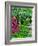 Snug Harbor Botanical Garden, 2015-Anthony Butera-Framed Giclee Print