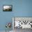 Snug Harbor-Nicky Boehme-Framed Premier Image Canvas displayed on a wall