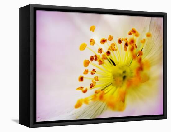 So Alive-Doug Chinnery-Framed Premier Image Canvas