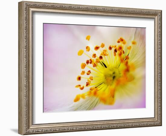 So Alive-Doug Chinnery-Framed Photographic Print