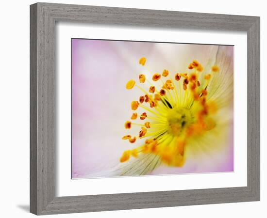 So Alive-Doug Chinnery-Framed Photographic Print