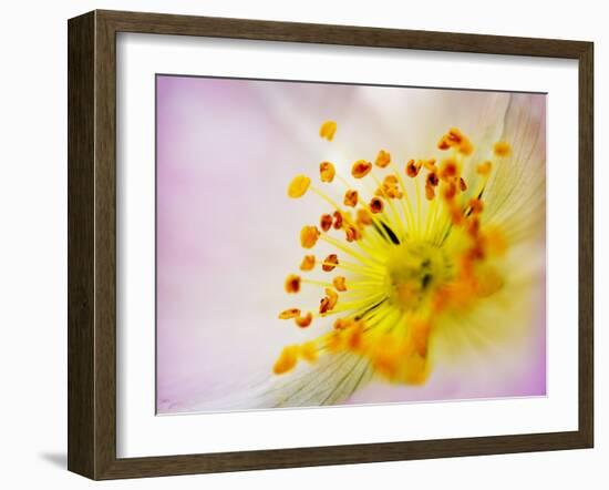 So Alive-Doug Chinnery-Framed Photographic Print