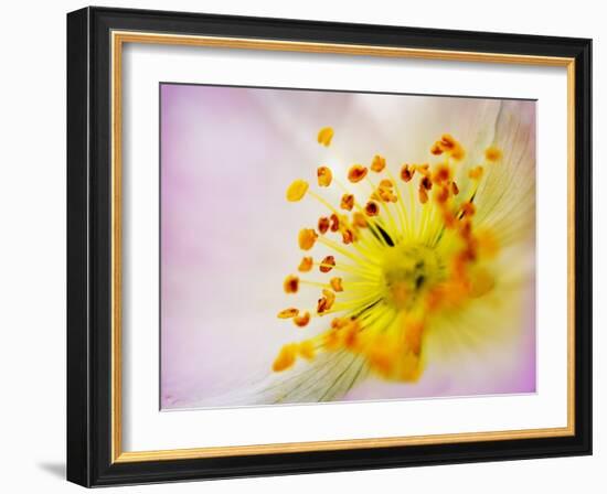 So Alive-Doug Chinnery-Framed Photographic Print