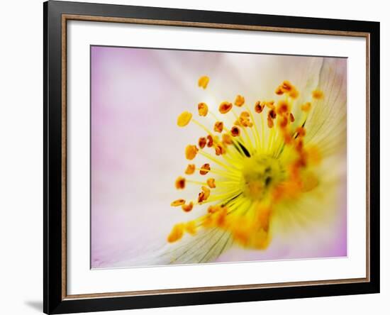 So Alive-Doug Chinnery-Framed Photographic Print