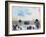 So Cal - Wanderlust-Chuck Brody-Framed Giclee Print