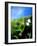 So Close-Ruth Palmer 2-Framed Art Print