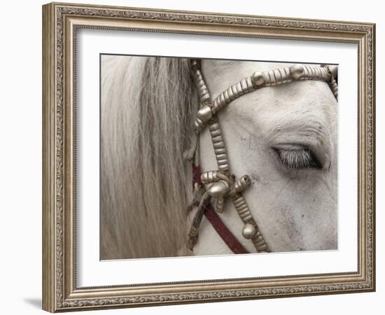 So Elegant II-Art Wolfe-Framed Photographic Print