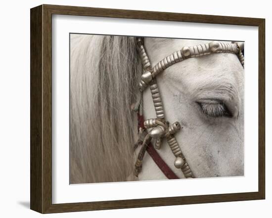 So Elegant II-Art Wolfe-Framed Photographic Print