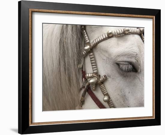 So Elegant II-Art Wolfe-Framed Photographic Print