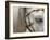So Elegant II-Art Wolfe-Framed Photographic Print