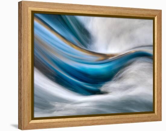 So Gentle, So Furious-Ursula Abresch-Framed Premier Image Canvas