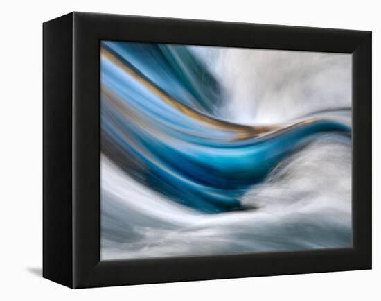 So Gentle, So Furious-Ursula Abresch-Framed Premier Image Canvas