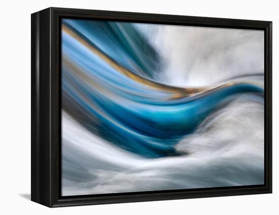 So Gentle, So Furious-Ursula Abresch-Framed Premier Image Canvas