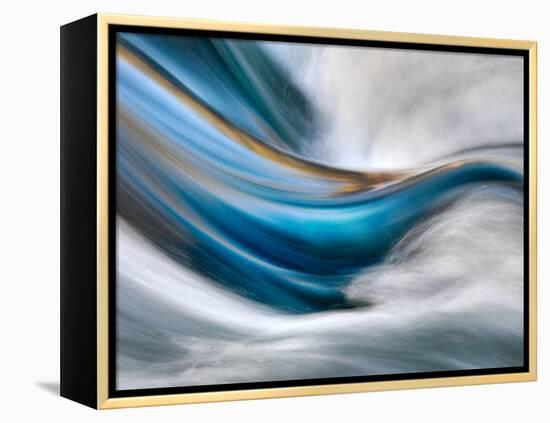 So Gentle, So Furious-Ursula Abresch-Framed Premier Image Canvas