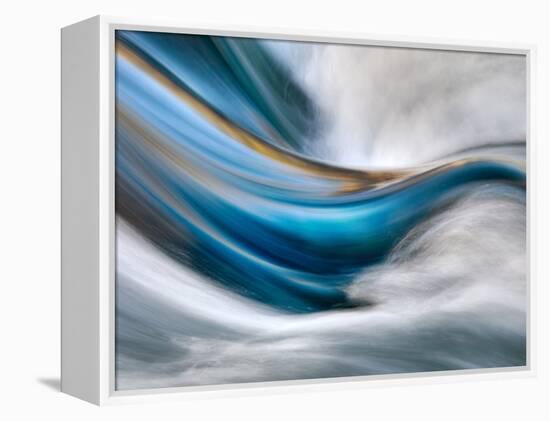 So Gentle, So Furious-Ursula Abresch-Framed Premier Image Canvas