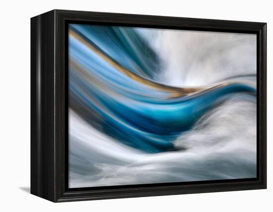 So Gentle, So Furious-Ursula Abresch-Framed Premier Image Canvas