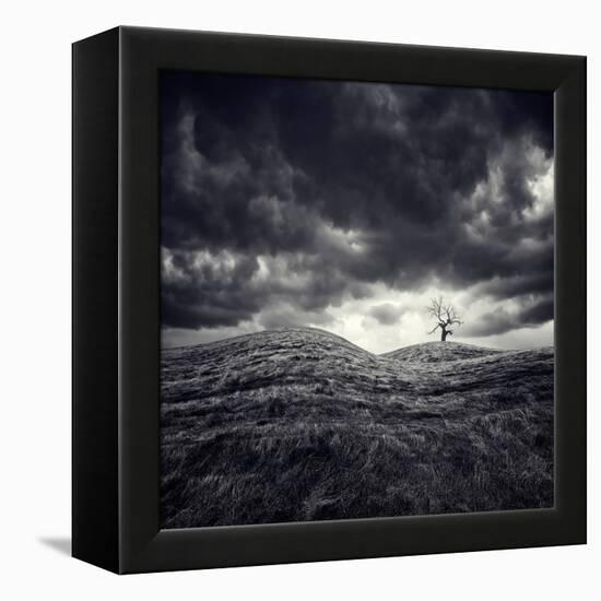 So Lonely-Luis Beltran-Framed Premier Image Canvas