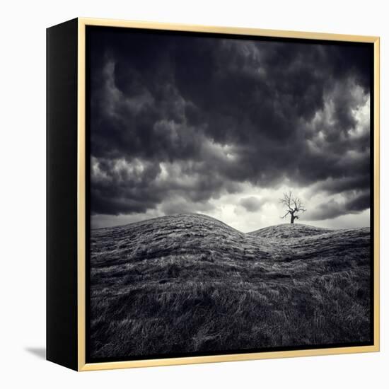 So Lonely-Luis Beltran-Framed Premier Image Canvas