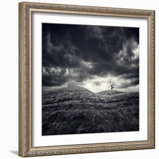 So Lonely-Luis Beltran-Framed Photographic Print