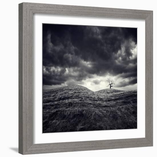 So Lonely-Luis Beltran-Framed Photographic Print