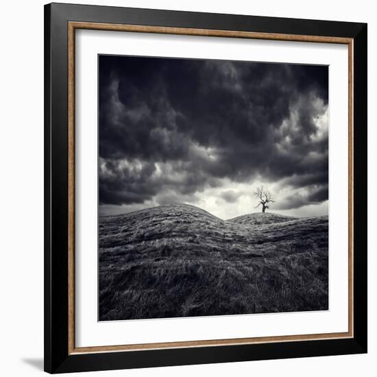 So Lonely-Luis Beltran-Framed Photographic Print