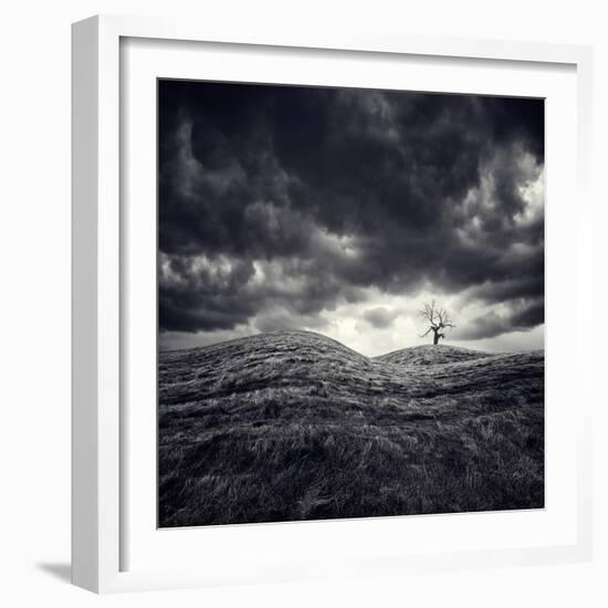 So Lonely-Luis Beltran-Framed Photographic Print