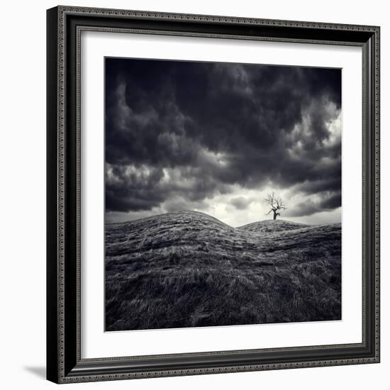 So Lonely-Luis Beltran-Framed Photographic Print