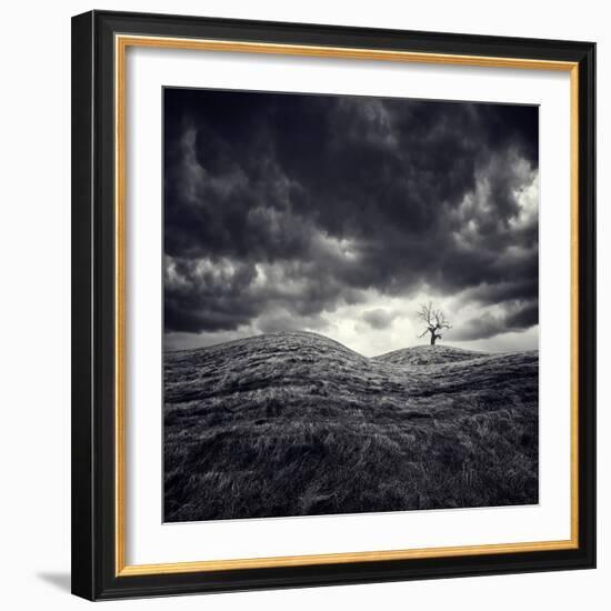 So Lonely-Luis Beltran-Framed Photographic Print