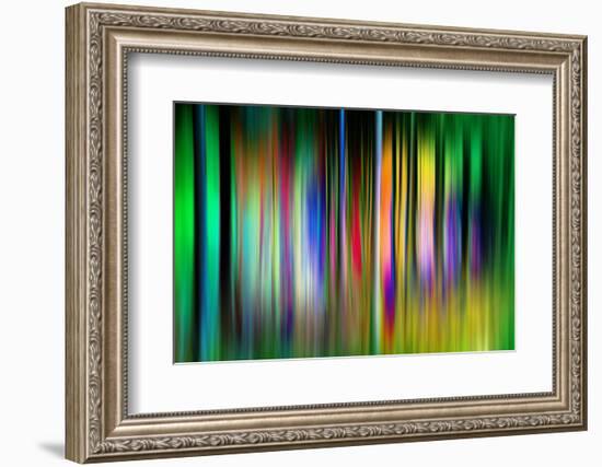 So Many Trees-Ursula Abresch-Framed Photographic Print