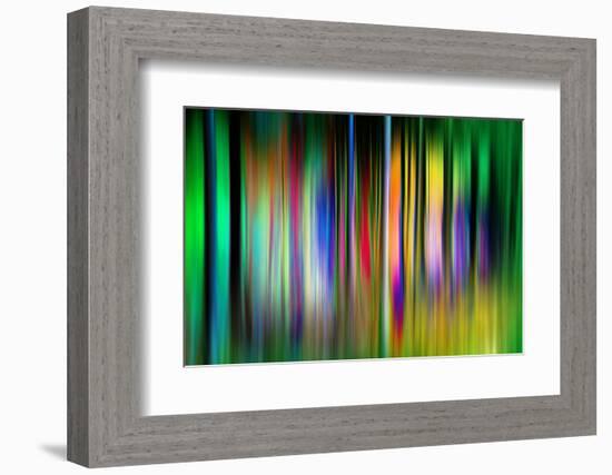 So Many Trees-Ursula Abresch-Framed Photographic Print