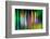 So Many Trees-Ursula Abresch-Framed Photographic Print