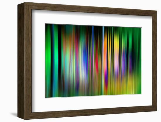 So Many Trees-Ursula Abresch-Framed Photographic Print