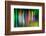 So Many Trees-Ursula Abresch-Framed Photographic Print