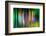 So Many Trees-Ursula Abresch-Framed Photographic Print