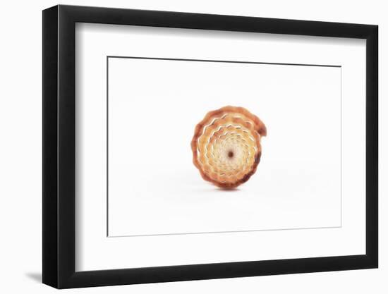 So Pure Collection - Beautiful Close-up of Mitra Compressum-Philippe Hugonnard-Framed Photographic Print