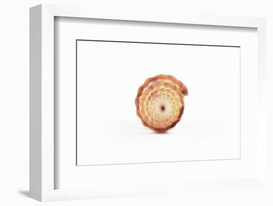 So Pure Collection - Beautiful Close-up of Mitra Compressum-Philippe Hugonnard-Framed Photographic Print