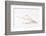 So Pure Collection - Beautiful Cut Tibia Shell III-Philippe Hugonnard-Framed Photographic Print