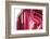 So Pure Collection - Beautiful Red Agate-Philippe Hugonnard-Framed Photographic Print