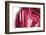 So Pure Collection - Beautiful Red Agate-Philippe Hugonnard-Framed Photographic Print