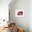 So Pure Collection - Beautiful Red Agate-Philippe Hugonnard-Framed Photographic Print displayed on a wall