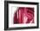 So Pure Collection - Beautiful Red Agate-Philippe Hugonnard-Framed Photographic Print